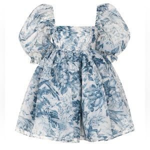 NWT Selkie Louie Toile Puff Dress
